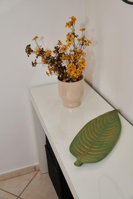Florina Modern Studio Exteriör bild
